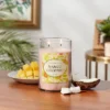 Glass Jar Mango Coconut Candle - Opalhouse™ -Opalhouse™ GUEST 86c199ef 4f61 4e98 b724 4f64945e7439