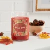 21.5oz Lidded Glass Jar 2-Wick Fall Day Candle - Opalhouse™ -Opalhouse™ GUEST b871d0a3 4ceb 4012 b682 623b0309090e