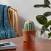 Cactus Ultrasonic Diffuser Green - Opalhouse™ 2 Cactus Ultrasonic Diffuser Green - Opalhouse™ -Opalhouse™ GUEST be681bb5 49e3 41f7 99a3 5bc52fb79585